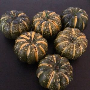 Decorative gourds/pumpkins